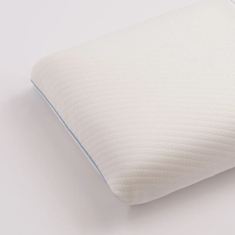 Pregnancy Pillows for Expectant MothersBiofoam Conforming Tencel Pillow