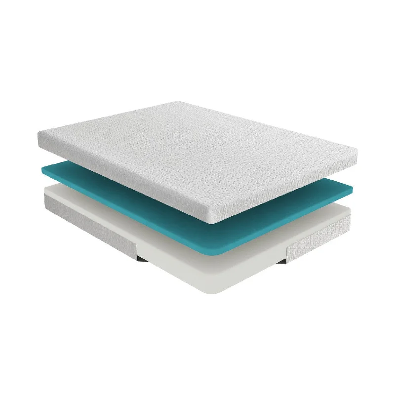 Polyester - foam mattresses for budget - friendly optionsHomelegance Vega 8" Full Mattress 2"+6"