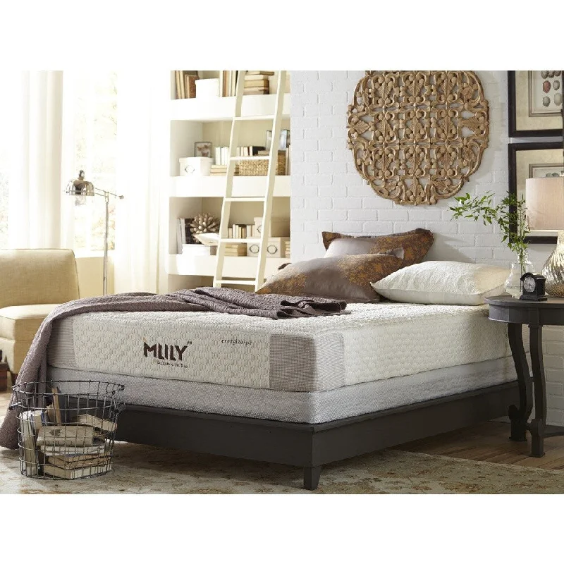 Polyester - foam mattresses for budget - friendly optionsMlily Energize 10-inch California King-size Gel Hybrid Mattress