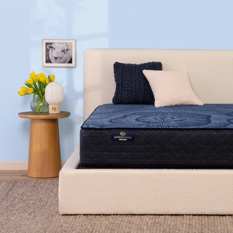 Polyester - foam mattresses for budget - friendly optionsSerta Perfect Sleeper 12" Hybrid Firm Smooth Top Mattress