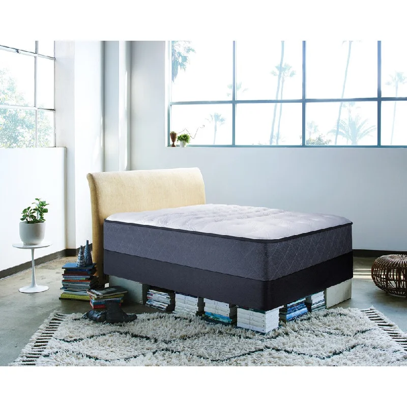 Memory foam mattresses for pressure relief and contouringSealy Posturepedic Happy Canyon Firm Queen-size Mattress - White/Black