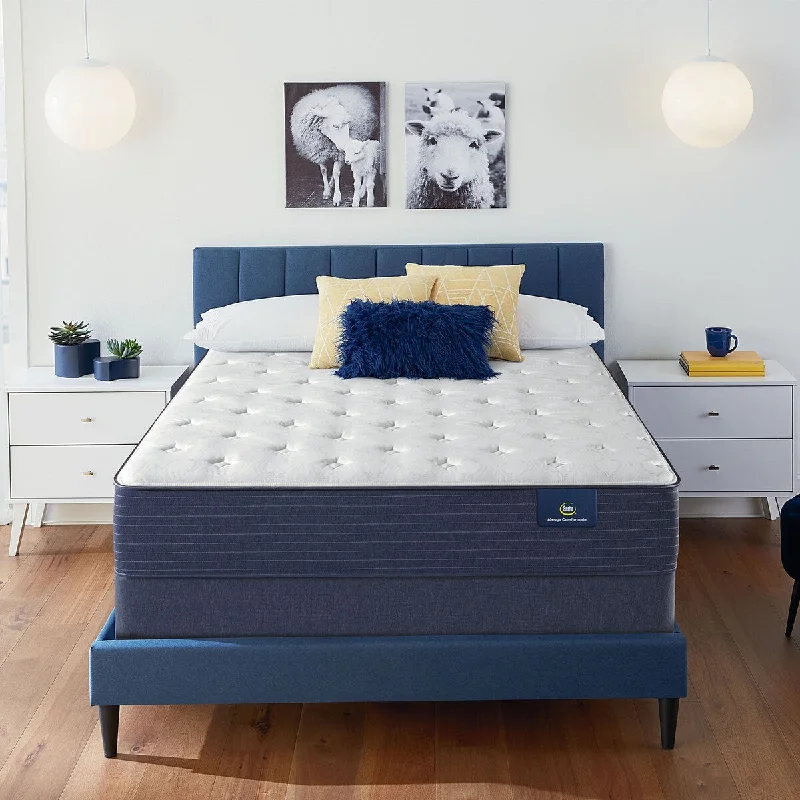 Organic cotton mattresses for a chemical - free sleep surfaceSerta Clarks Hill 11" Plush Mattress