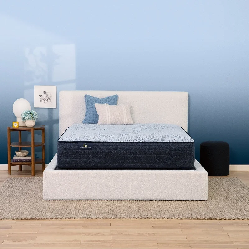 Polyester - foam mattresses for budget - friendly optionsSerta Perfect Sleeper Nurture Night 13.5" Plush Mattress Set